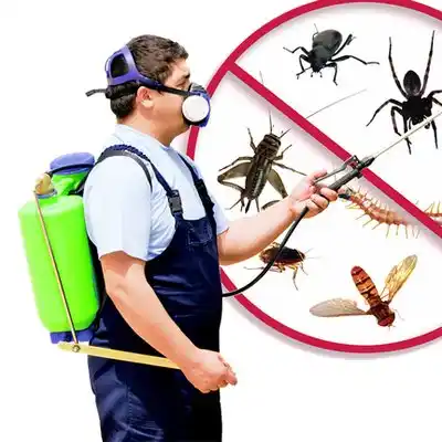 pest control Pinardville